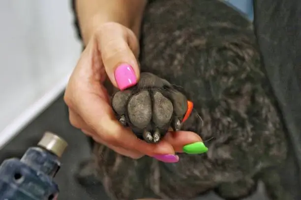 Pawdicures Care