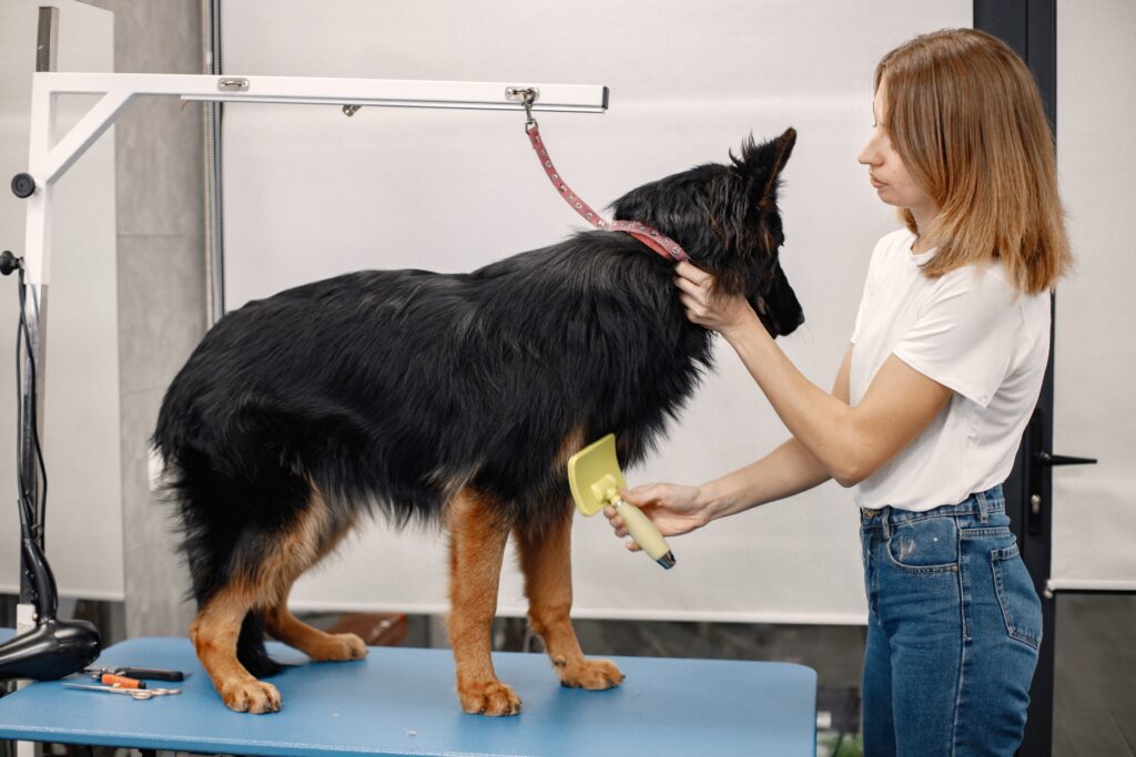 Pet Grooming Tips for Different Breeds