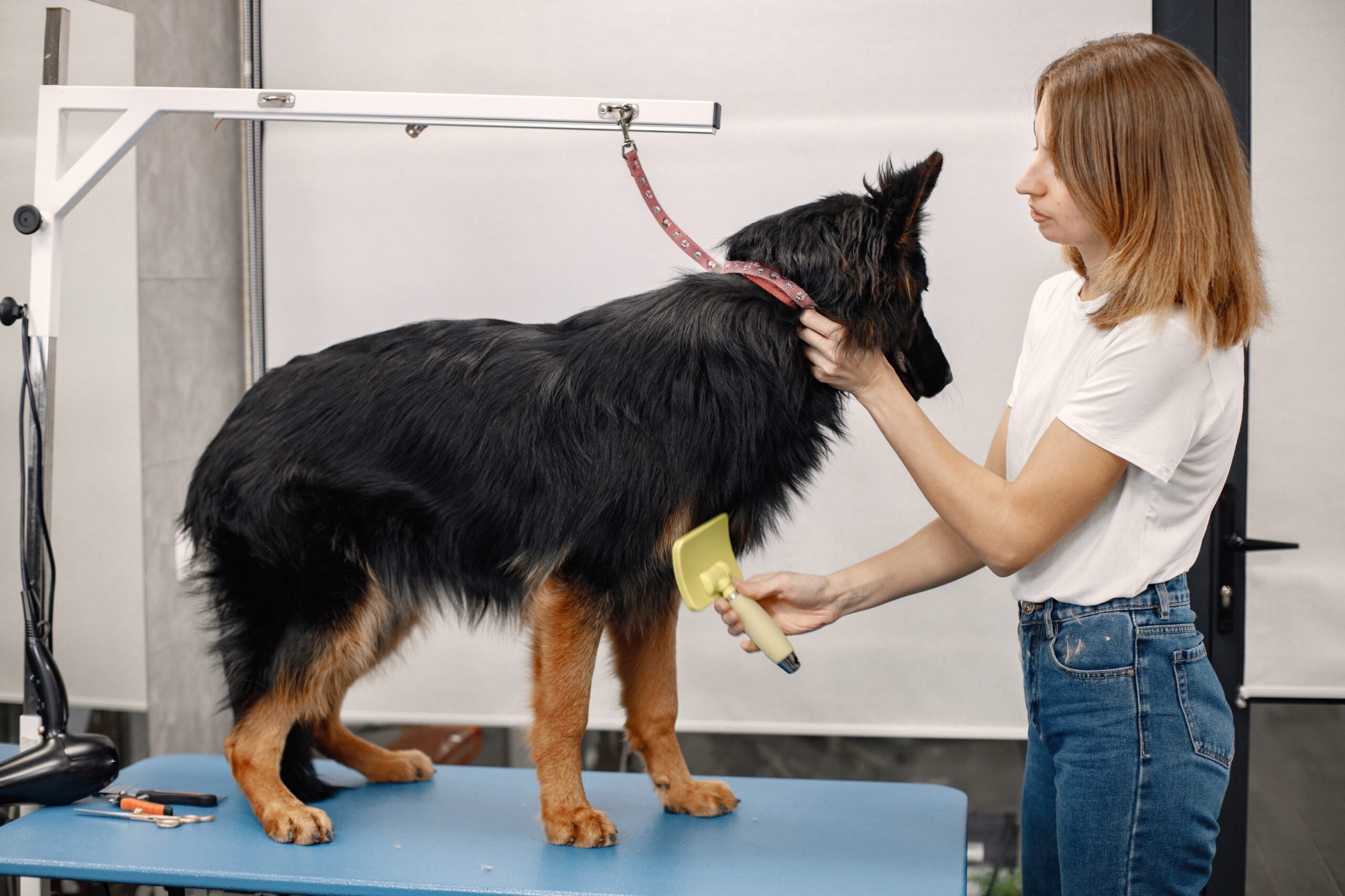 Pet Grooming Tips for Different Breeds